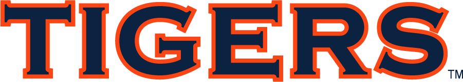 Auburn Tigers 2006-Pres Wordmark Logo v2 diy iron on heat transfer